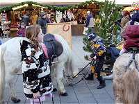 Pferdereiten am Weihnachtsmarkt am Wiener Neustädter Hauptplatz